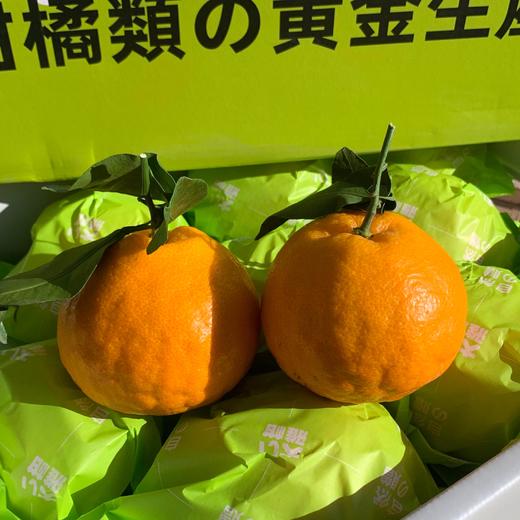 【大雅柑】春见的升级版！剥开的果肉如同鱼籽酱，相较于春见，大雅柑的口感更浓郁，柑橘的鲜甜风味更足。净重7斤+/箱，江浙沪皖顺丰包邮~ 商品图2