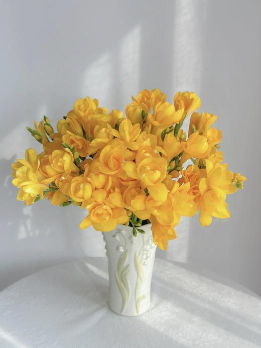 【限定浪漫--香雪兰】颜色自选 商品图2