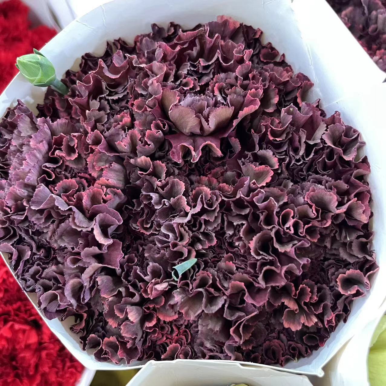 微信图片_20230213200224