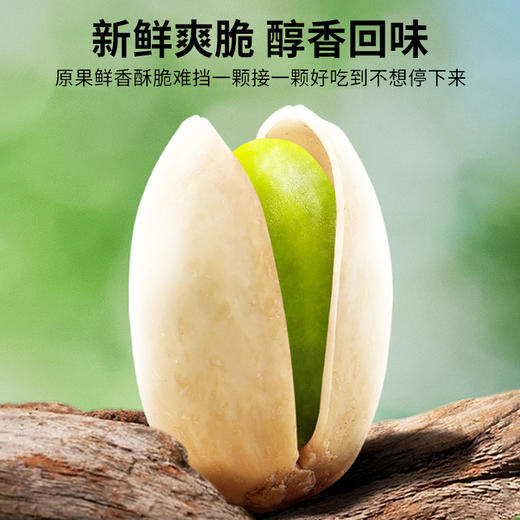 西圣喀什疏附开心果88g 商品图2