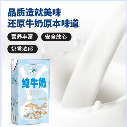 1L纯牛奶集合/C 商品图2