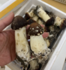 赤松茸【现采现发，顺丰快递，及时签收并冰箱保存】 商品缩略图1