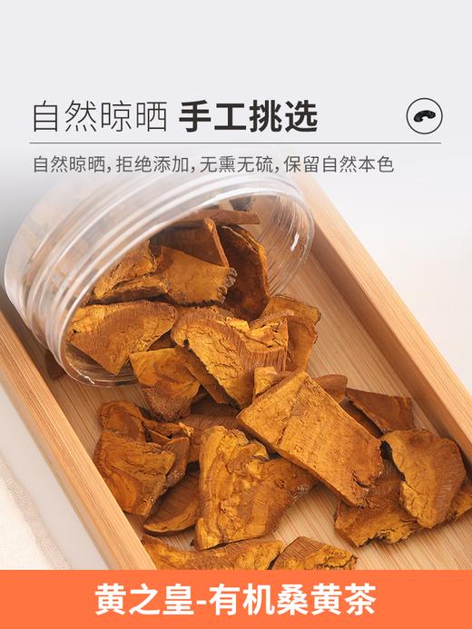 黄之皇 桑黄茶50g 地道选材 自然晾晒 商品图2