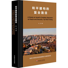 和平建构的复合路径