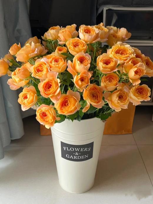 云南昆明多头玫瑰鲜花蔷薇小玫瑰基地直批水养花婚庆花店用花女神节 商品图14