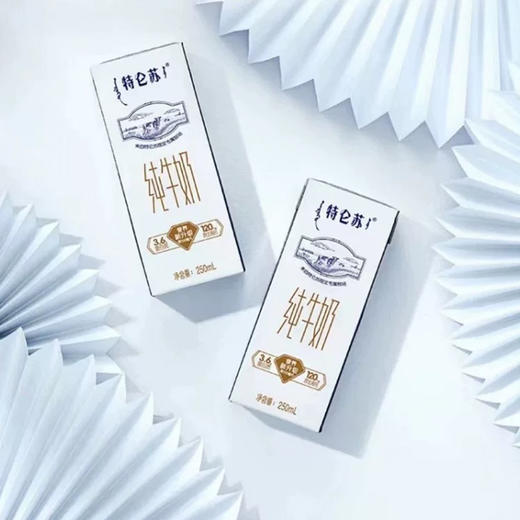 特仑苏250ml*12 商品图2