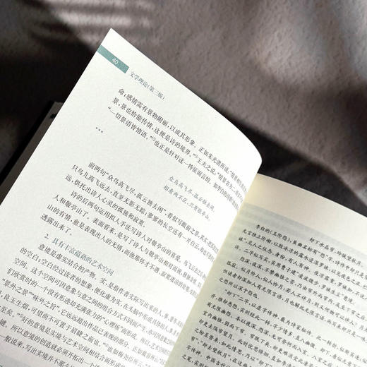 文学理论 第三版 鲁枢元 刘锋杰 姚鹤鸣 高校文科精品教材 商品图13