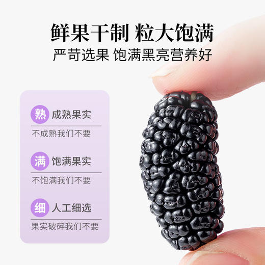 方家铺子 桑椹干500g（六星）/瓶装 商品图3