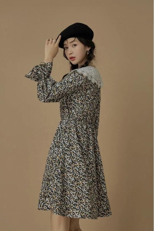 Other Mix 蕾丝翻领碎花连衣裙 15357 商品图3