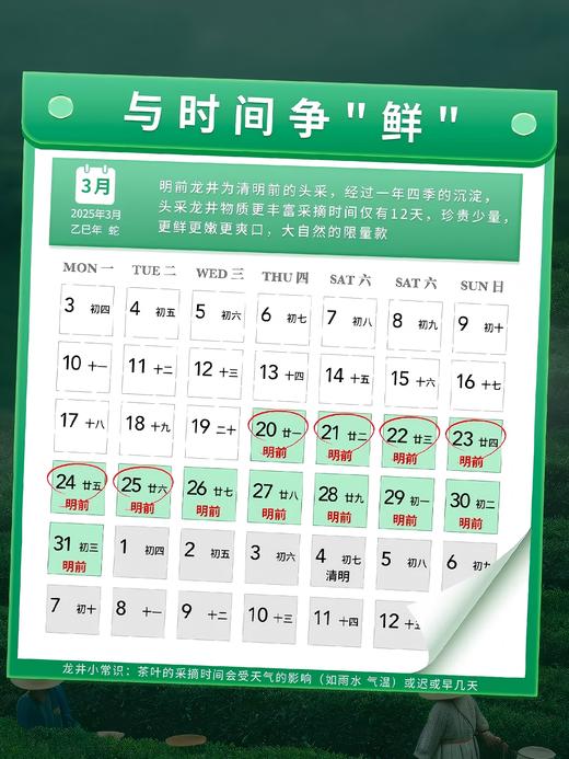 【2025年新茶！下单立即发货】西湖工夫 明前 特级龙井茶 50g/罐（天猫同款） 商品图2