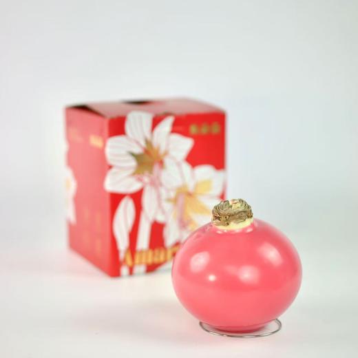 秘鲁进口巨型腊球朱顶红包邮 商品图11