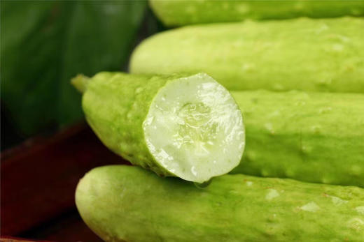 海阳白玉黄瓜 商品图5