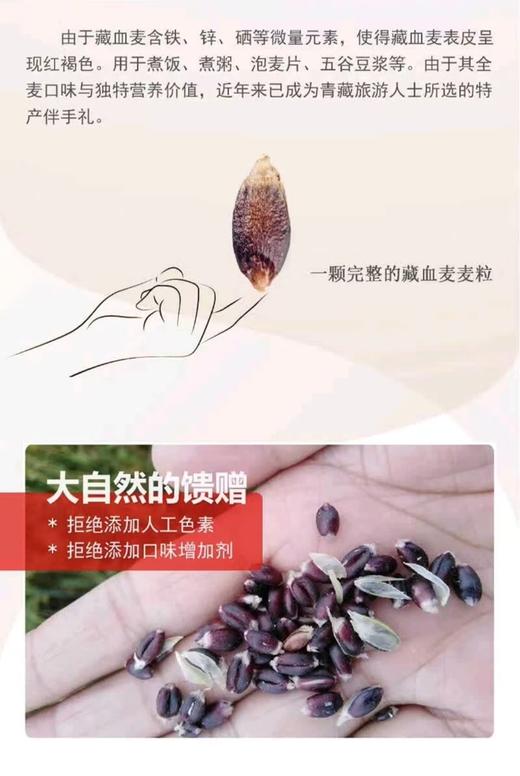 【有机藏血燕麦片】高膳食纤维  富含丰富维生素以及矿物质  易吸收易消化 商品图2