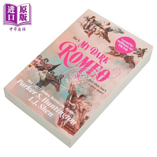 【中商原版】黑暗王子之路系列 卷一 我的黑暗罗密欧 My Dark Romeo 英文原版 LJ Shen 爱情流行小说 商品图1