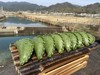 清明粿10个一包 商品缩略图0