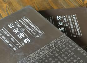 陕西金石文献汇编：《长安碑刻》，精装，8开，上下两册，吴敏霞等编著，陕西人民出版社2014年一版一印，641页，定价580，售价290元