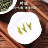 2025新茶上市徽六明前特级雀舌绿茶茶叶毛尖毛峰罐装50g 商品缩略图3