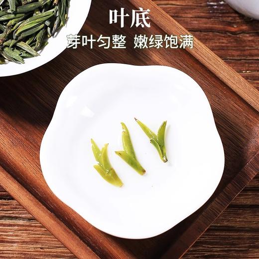 2025新茶上市徽六明前特级雀舌绿茶茶叶毛尖毛峰罐装50g 商品图3