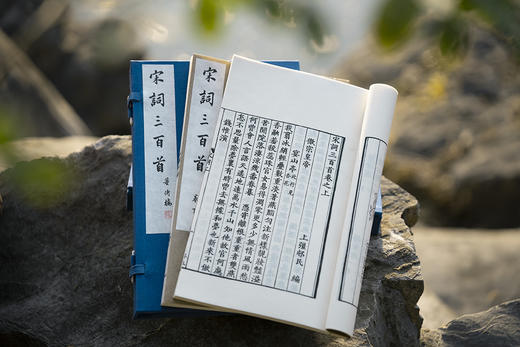 新校刊本《宋词三百首》 商品图4