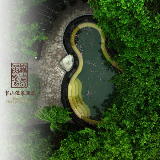 宝山温泉券 商品图6
