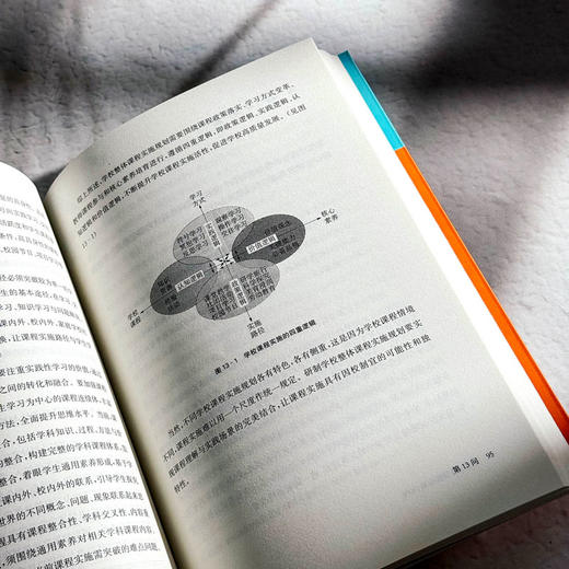 学校整体课程规划18问 杨四耕著 学校课程变革 课程决策 商品图11