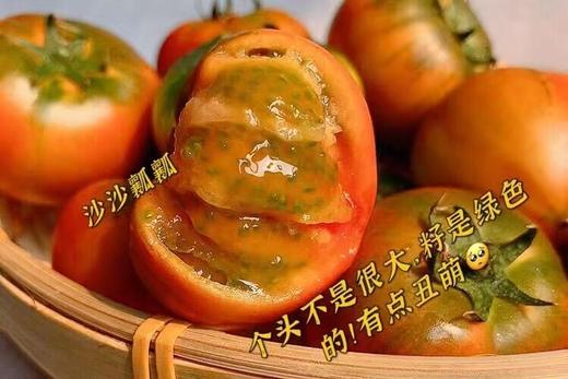 草莓柿子 商品图5