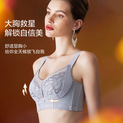 魅澜芳华调整型文胸 商品图4