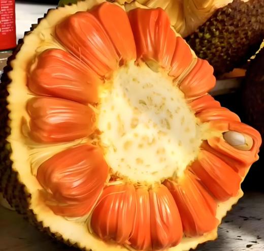 【会员34.5/斤】鲜剥红肉菠萝蜜 商品图2