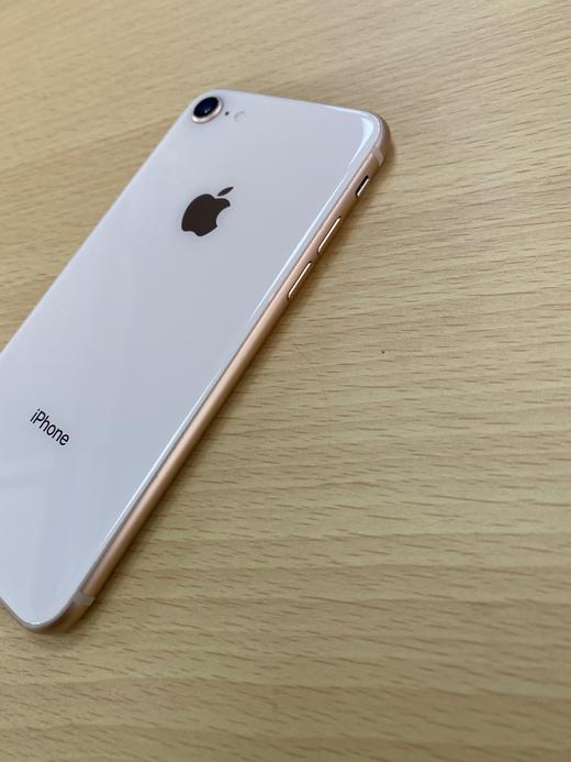 编号253110-苹果iPhone8/256G/金色，9.5新，特价599元！质检工程师已深度功能检测通过，店保180天，请放心购买！ 商品图1