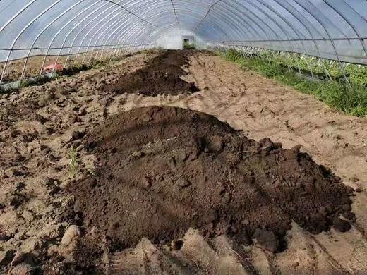 野菜夫人农场有机草莓/孕妇婴幼儿可放心吃/自然成熟/575项农残未检出/顺丰空运 商品图3