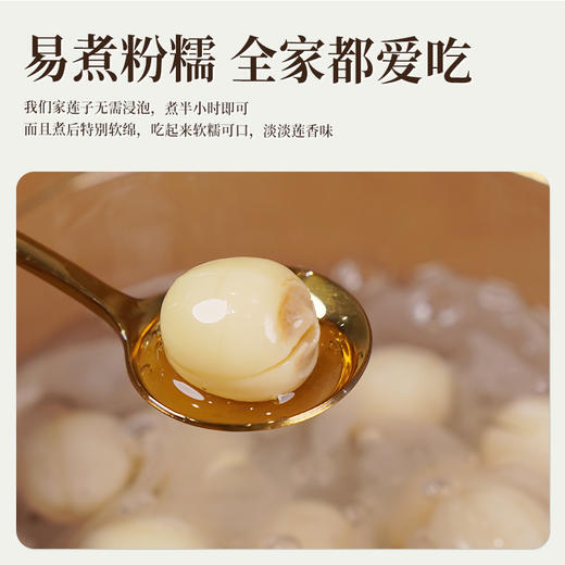 龙威贡牌 建宁通芯白莲子 自然绿色食品 无漂白熏硫 易煮粉糯 250/袋 商品图1