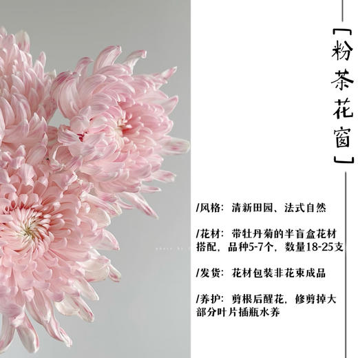 森林花束·粉茶花窗 商品图0