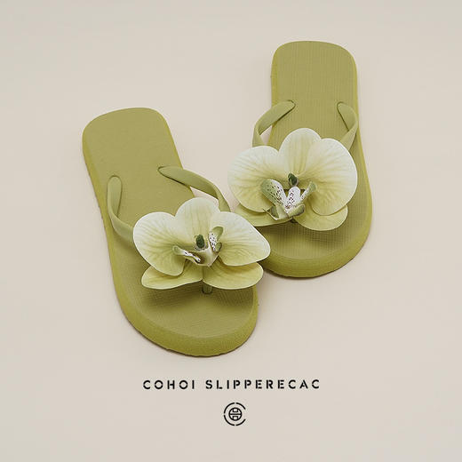 「2025仙女风」女夏季夹脚休闲拖鞋沙滩凉拖鞋平底外穿人字海边防滑女 商品图3