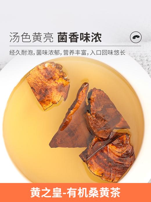 黄之皇 桑黄茶50g 地道选材 自然晾晒 商品图3