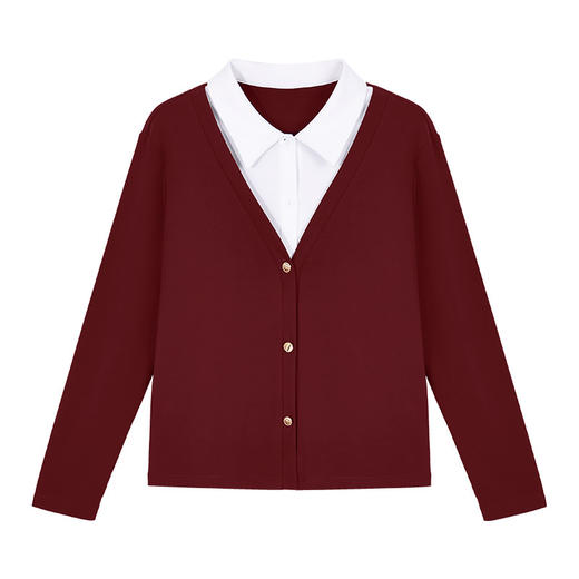 雀说翻领假两件长袖t恤女新款洋气女装polo领正肩上衣打底衫AL10047 商品图4