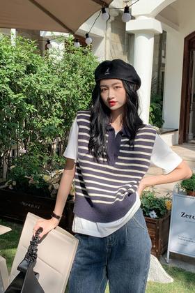 HAYES 深蓝色polo翻领条纹针织背心 15462