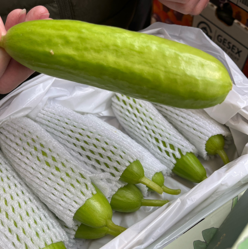 【奶油黄瓜】减肥季的福利品，脆嫩脆嫩的小黄瓜，好吃不长肉