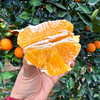 特惠活动『秭归福罗斯特脐橙』江边果园，新鲜春橙，浓甜爆汁，肉嫩无籽 商品缩略图14