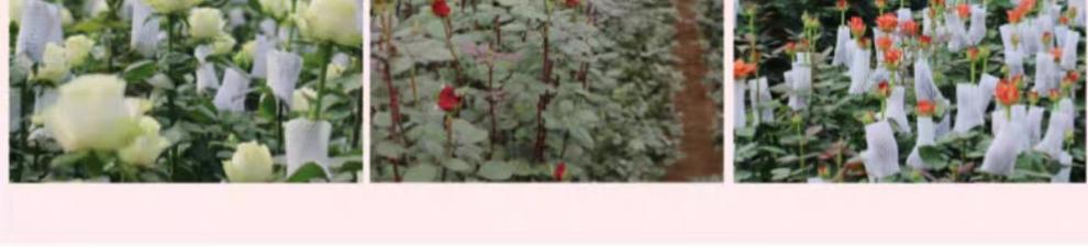 8ee22c5e-478f-4878-85e1-a912a3e468cc.jpe