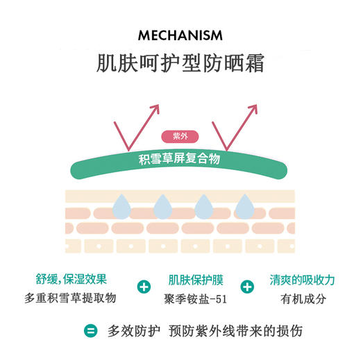【买一赠一 】韩国院线防晒舒罗蔻舒缓防晒霜SPF50+ PA++++ 积雪草清爽水润防紫外线面部隔离乳 50ml/支 商品图2