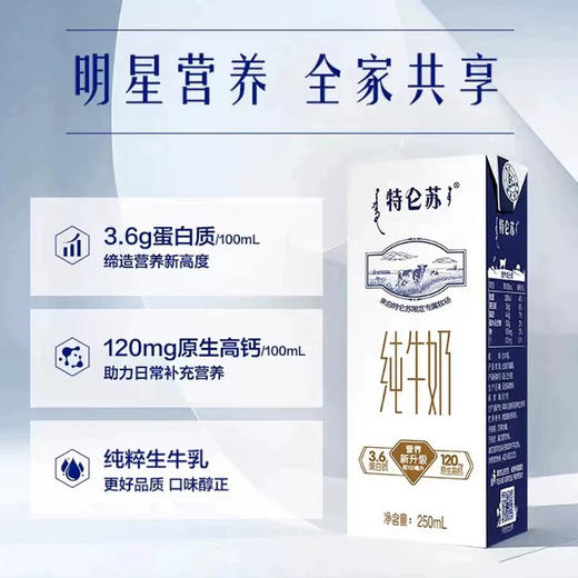 特仑苏250ml*12 商品图1