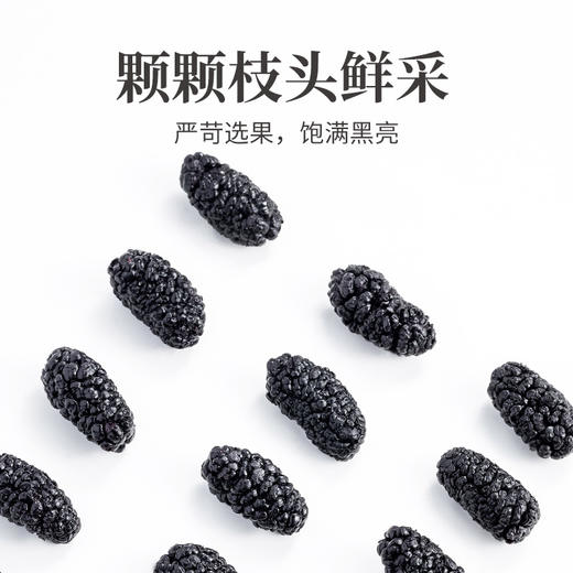 方家铺子 桑椹干250g/瓶装 商品图9