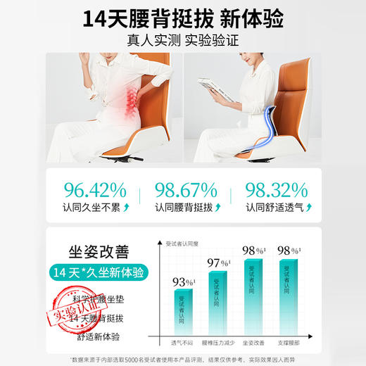 【护腰矫姿坐垫】专利设计，人体工学环抱！养成正确坐姿，舒缓腰部压力！贴合支撑，包容性强！随时随地矫正，养成良好体态！【SFQ-X】 商品图4