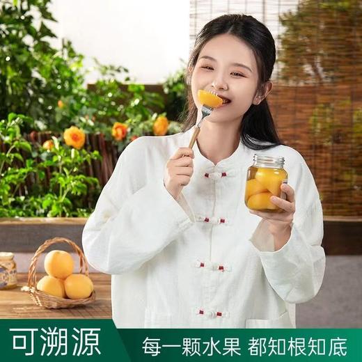 应季物语黄桃罐头712g 商品图3