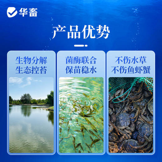 华畜青苔分解酶鱼塘净水除藻剂不伤害水草鱼虾蟹保苗稳水水产养殖 商品图2