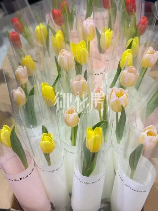 单支花礼 商品图0