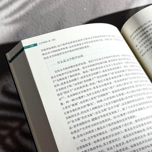 文学理论 第三版 鲁枢元 刘锋杰 姚鹤鸣 高校文科精品教材 商品图10