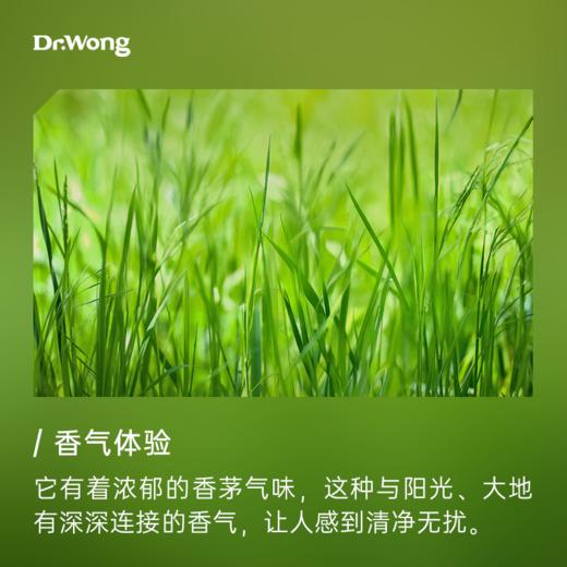 香茅5ml 植物香薰精油-o 商品图1
