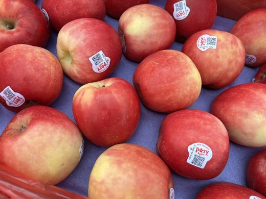 周四取货：【新西兰小花苹果】一份6个（1.8斤左右）脆甜可口，果质紧实，浓浓香甜 ​！ 商品图7