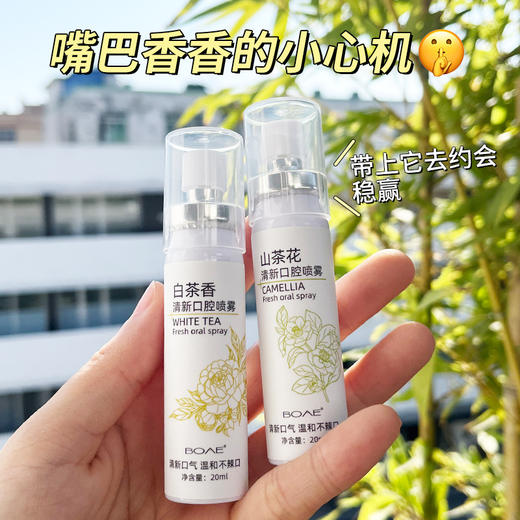 「9.9到手！两款香型」BOAE山茶花口腔喷雾20ml单支 口气清新剂留香净味口喷清新剂口腔护理 商品图1